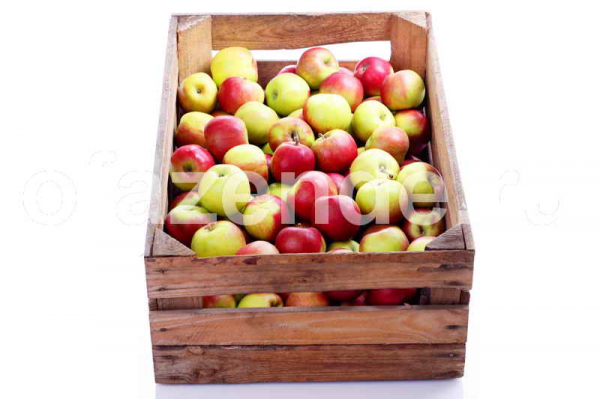 Базовые правила хранения яблок